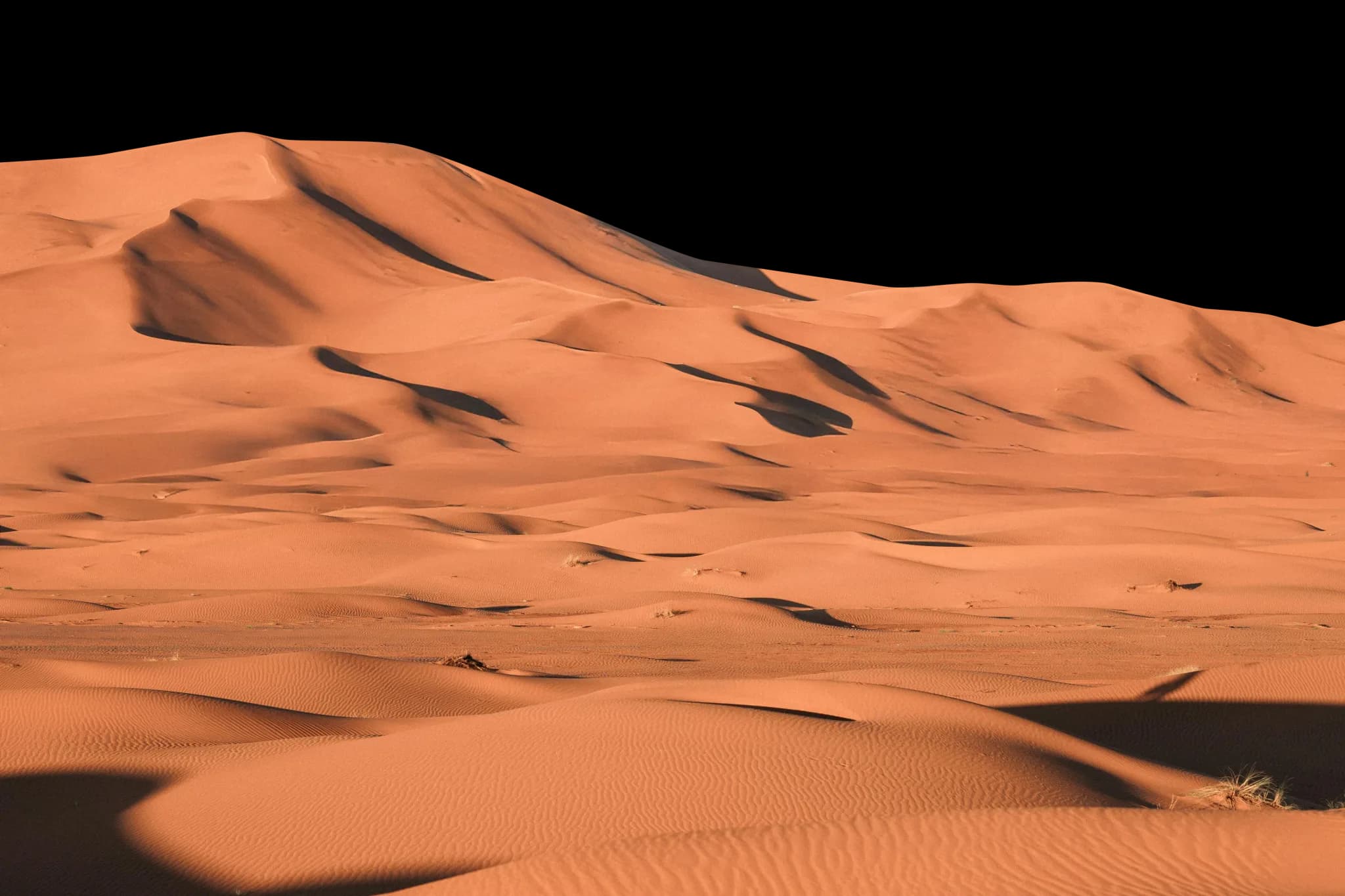 Désert